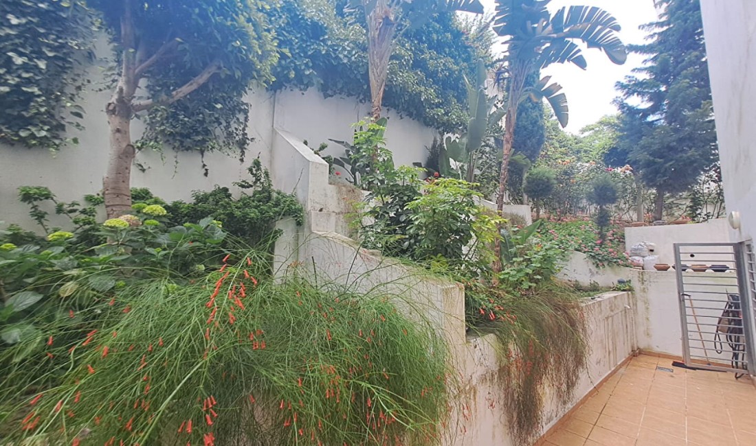 Rue Hassan 2 TANGER Apartments for sale
