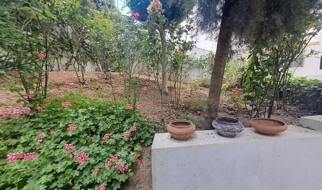 Rue Hassan 2 TANGER Apartments for sale