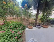 Rue Hassan 2 TANGER Apartments for sale